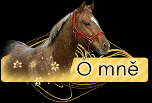 nadpisek_o_mne.png